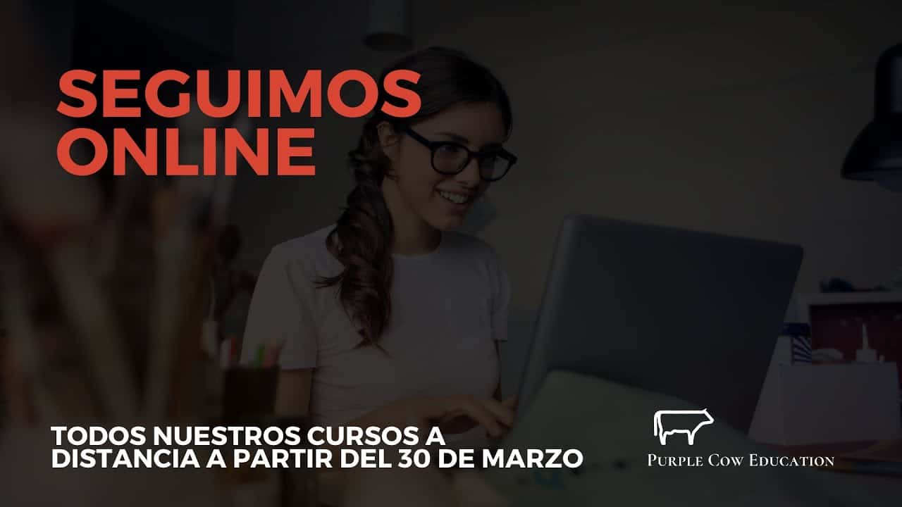 Cursos de programación Online – Purple Cow
