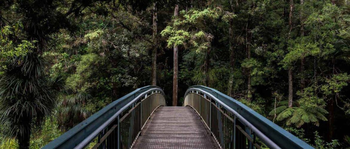 free online courses with certificates