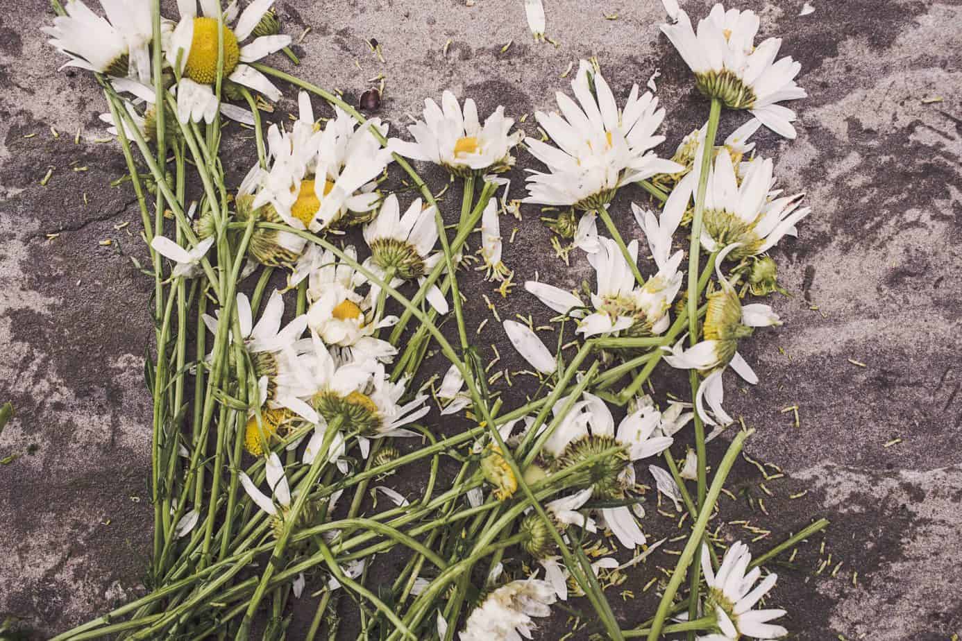 Grief during COVID 19 – Personal Development & Anxiety Blog